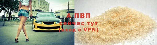 стаф Богородицк