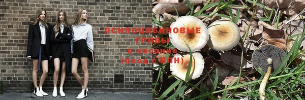 прущие крисы Богородск